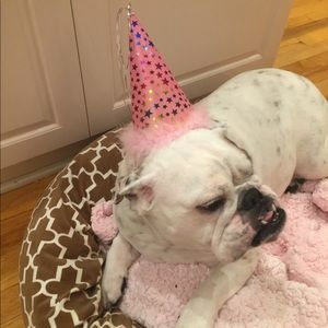 Meet your Posher, Michael